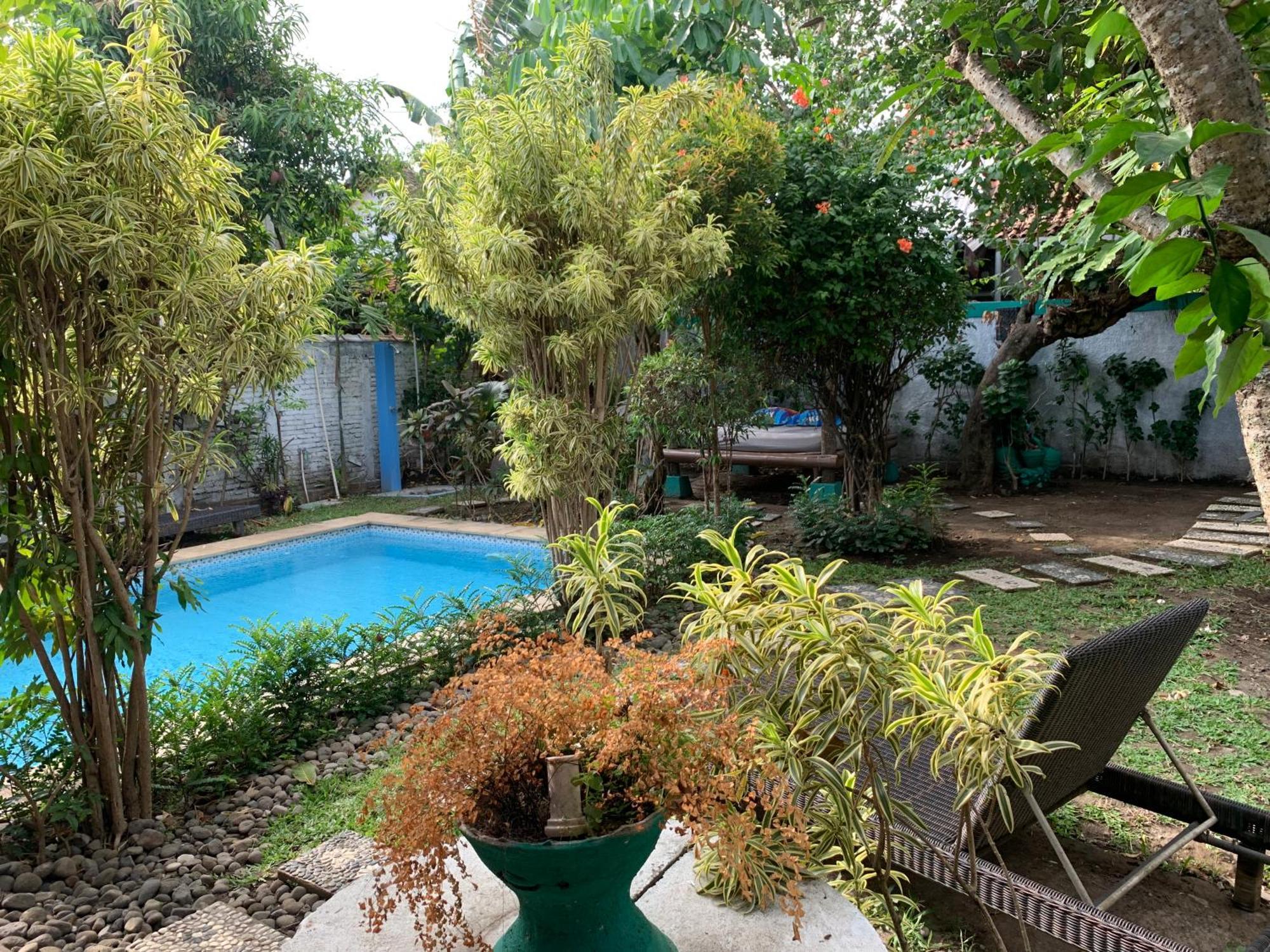 יוגיאקרטה Villa Bougenville מראה חיצוני תמונה